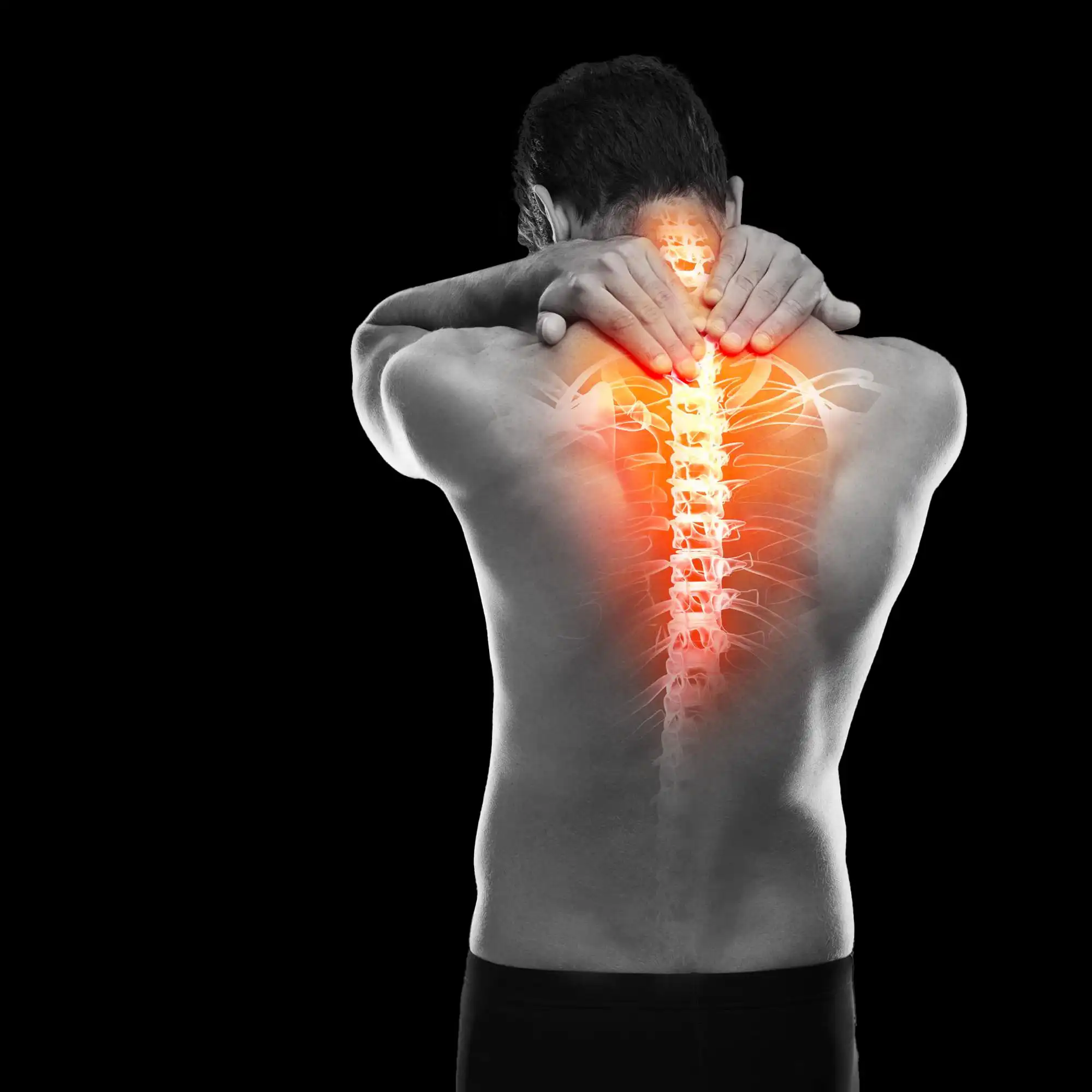 FisioterapiaItalia - Patologie e Dolori