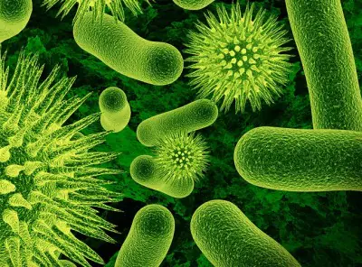Fisioterapia Italia blog - Alterazioni della flora batterica - Disbiosi intestinale e colite ulcerosa