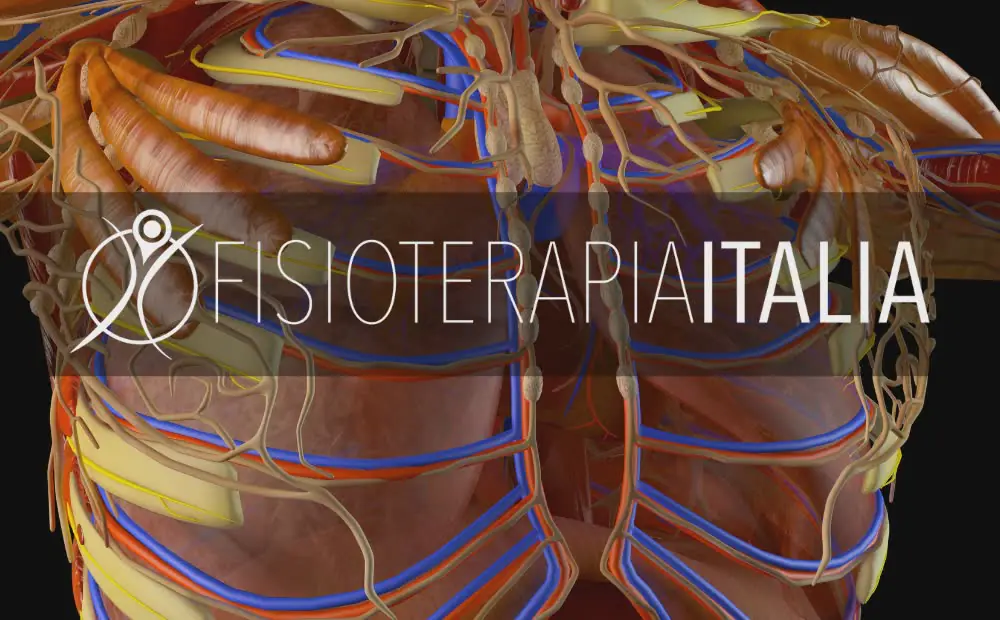 Dolori intercostali Cosa sono I Rimedi e le Cure