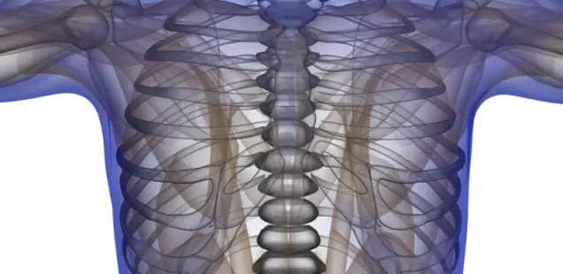 Riabilitazione dopo la frattura costola composta