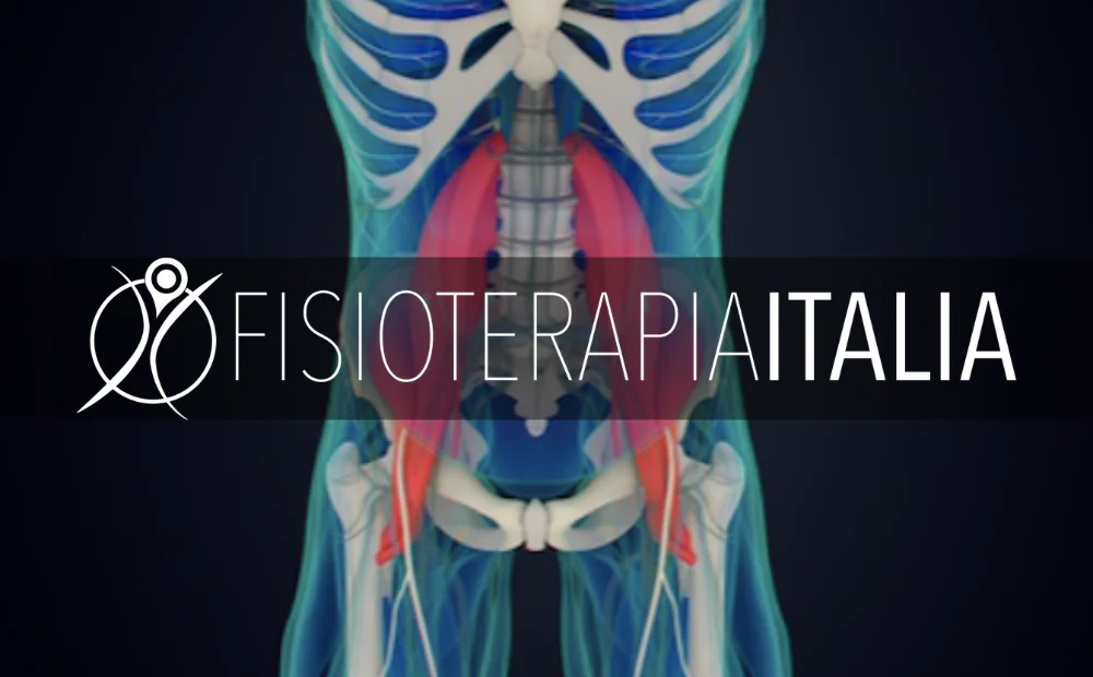 Come guarire la pubalgia allungando lo psoas