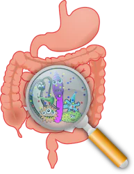 Sindrome dell'intestino permeabile - Cause e rimedi