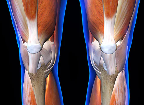 La rieducazione del ginocchio: le migliori tecniche di riabilitazione