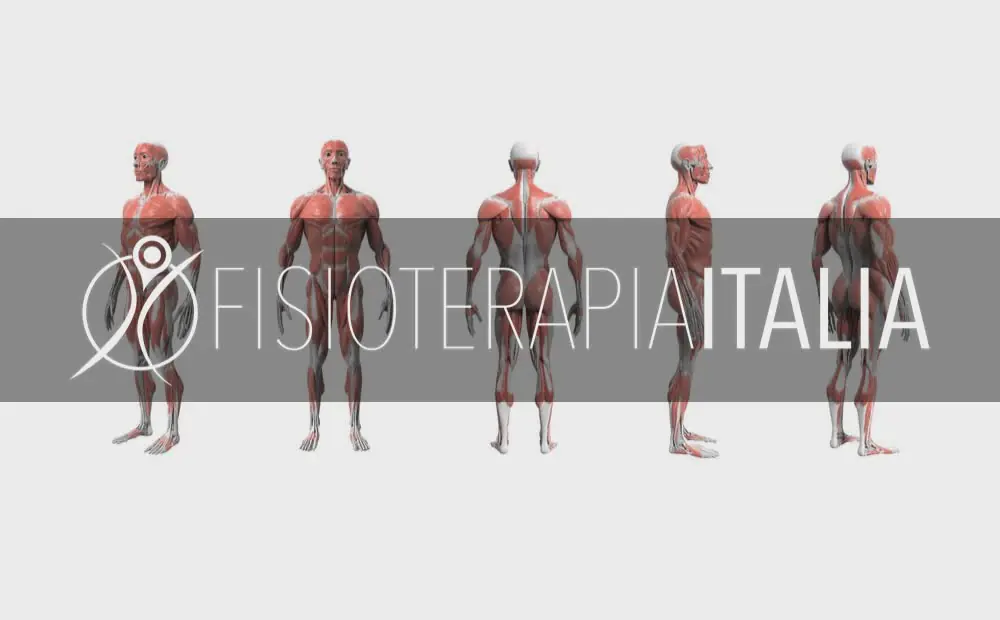 Spasmi muscolari cause e cure per trattarli